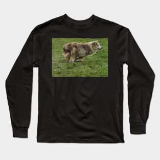 Dog running Long Sleeve T-Shirt